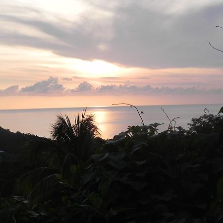 Villa Mielecajou, Entre Mer Et Montagne Deshaies Exterior foto